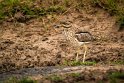 084 Masai Mara, watergriel